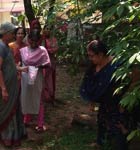 World Environment Day Celebrations at Vridhasadanam Kochi 