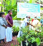 Sree Poornathrayeesa Green Care